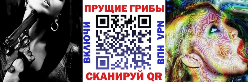 купить   Ардон  Псилоцибиновые грибы Psilocybe 